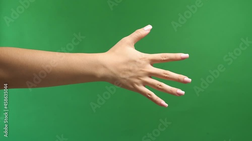 Woman Hand Showing Five Fingers On Green Screen Background, Stop Concept With Hand Up 
 photo