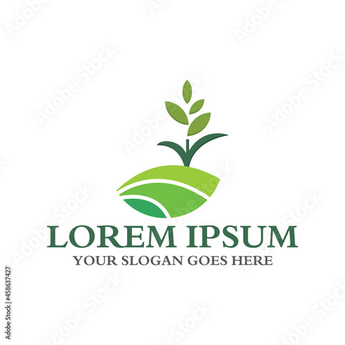 agriculture logo   nature logo vector