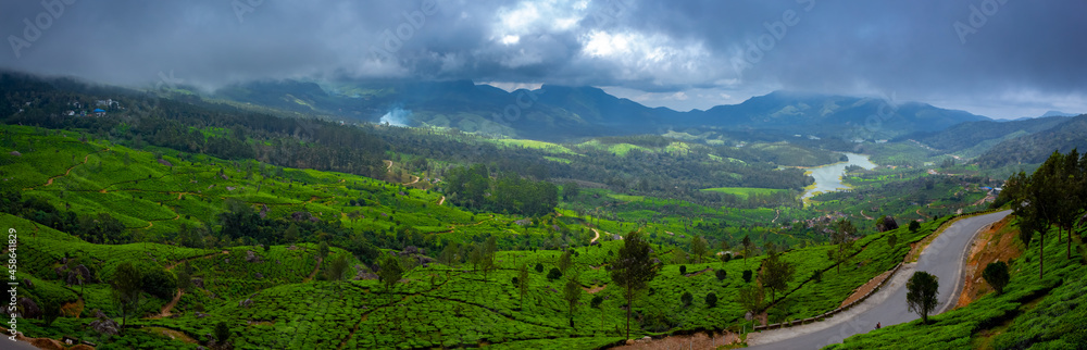 Munnar Tea plantation. Best Tea plants In Munnar, Kerala, India.
