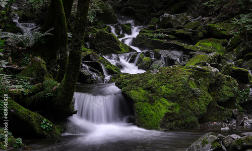 moss valley 
