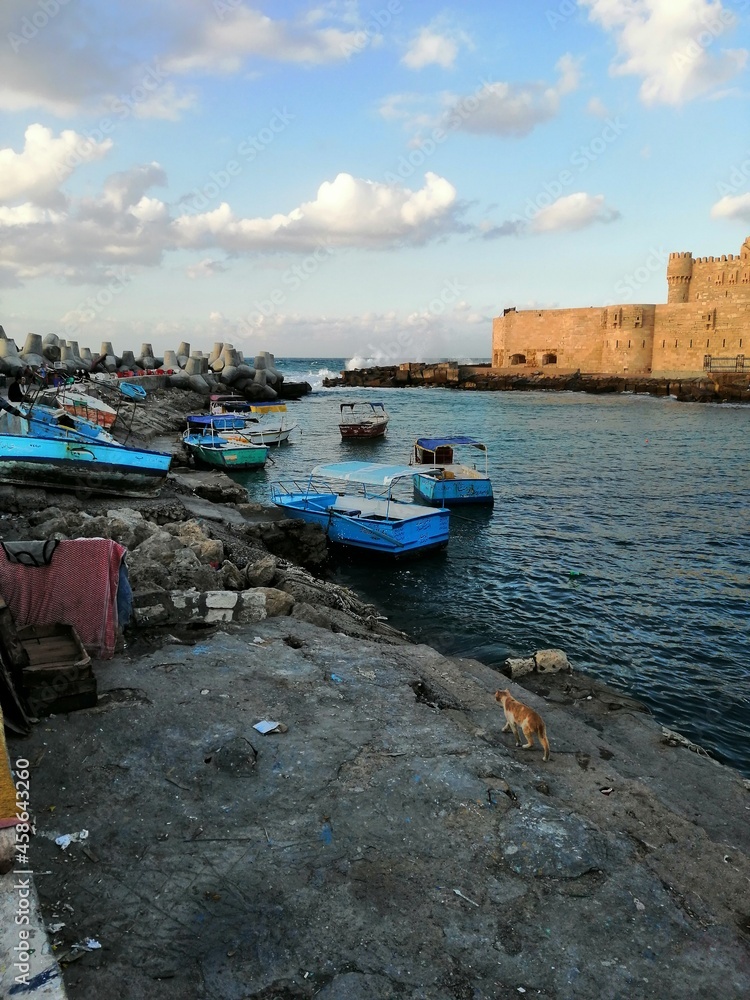 boats on the beach