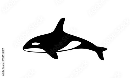orca fish, killer whale vector