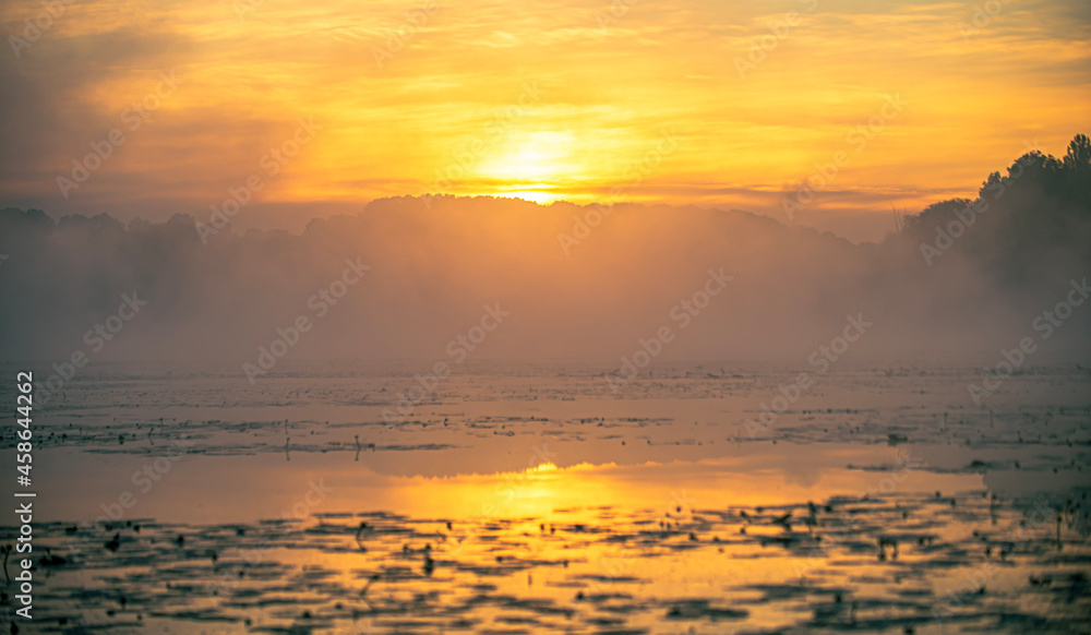 Fototapeta premium sunset over the sea