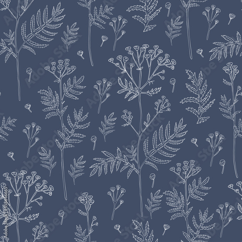 Seamless pattern Tansy flower or Tanacetum vulgare vector illustration isolated on blue backdrop, ink sketch, decorative herbal background for design medicine, wedding invite, greeting card, cosmetics