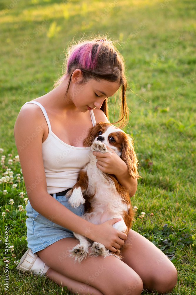 Girl teenager walks with pets in summer city park at sunset. Cavalier King Charles Spaniel puppies enjoy time with owner. Girl teenager walks with pets in summer city park at sunset. Cavalier King Charles Spaniel puppies enjoy time with owner.