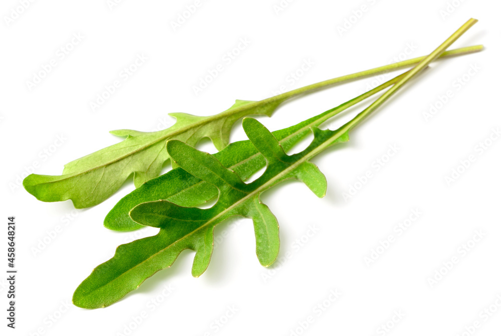 fresh arugula leaves isolated on white background fresh arugula leaves isolated on white background