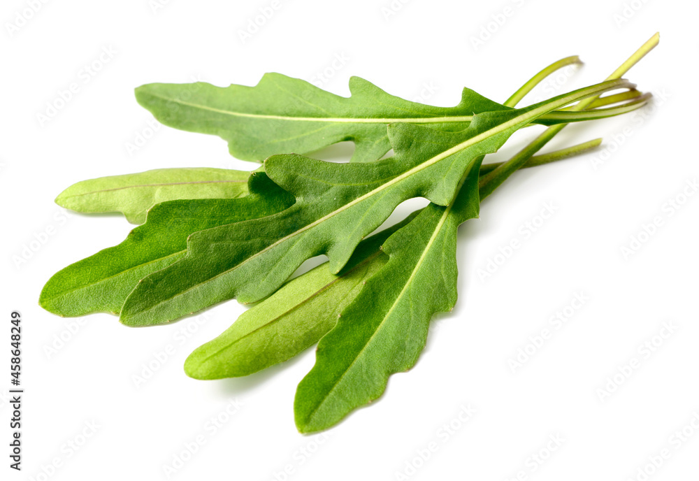 fresh arugula leaves isolated on white background fresh arugula leaves isolated on white background