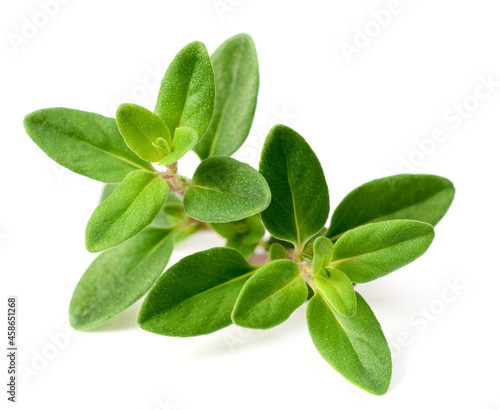 Photos fresh thyme herb isolated on the white background