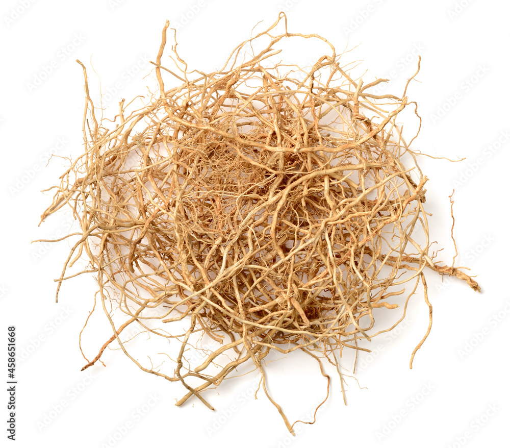 Fototapeta premium dried vetiver roots isolated on the white background, top view