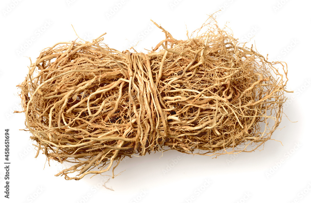 dried vetiver roots isolated on the white background