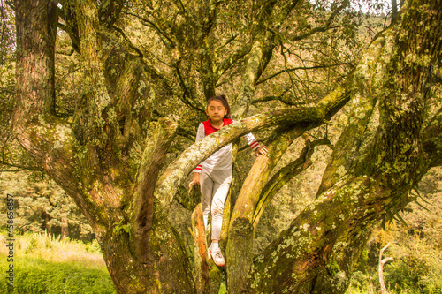 Girl in the branches of a tree