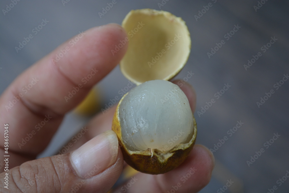 Dimocarpus longan, commonly known as the longan is a tropical tree
