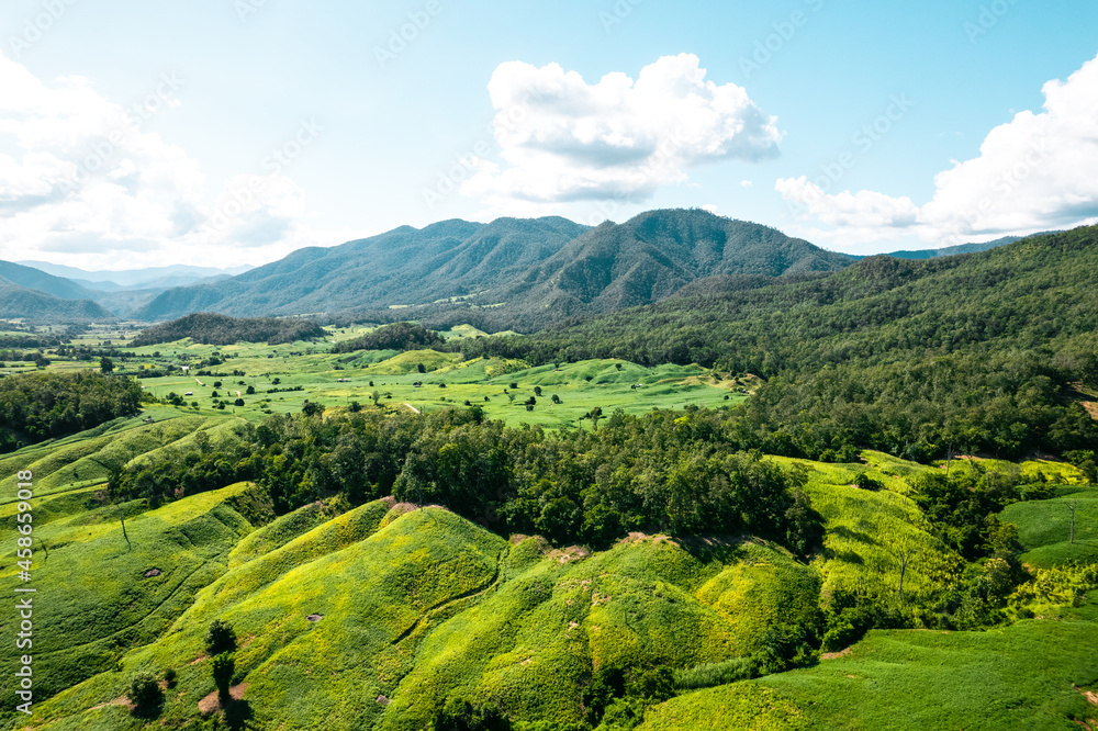field scenery views and green fields on a clear day field scenery views and green fields on a clear day