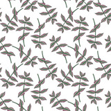 vector seamless pattern with drawing inchplant, Tradescantia zebrina, hand drawn background with medicinal plant