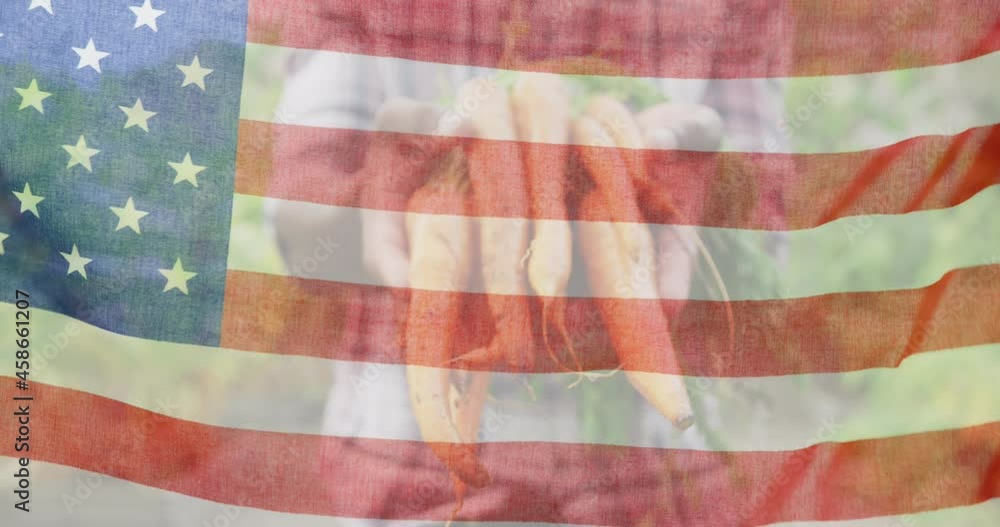 Animation of flag of united states of america over african american farmer keeping carrots Animation of flag of united states of america over african american farmer keeping carrots