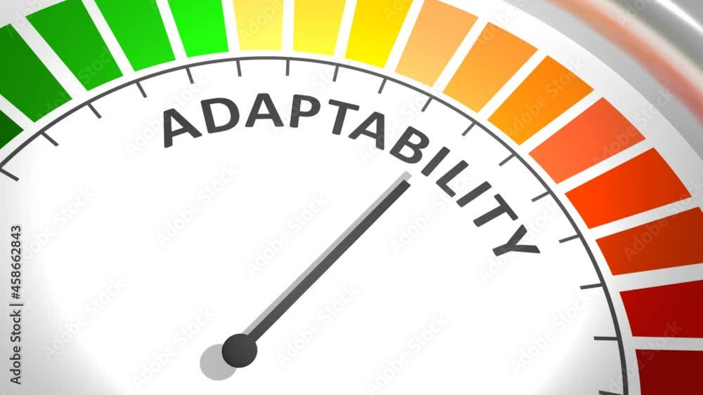 Concept of human adaptability , development of personal qualities. Concept of human adaptability , development of personal qualities.
