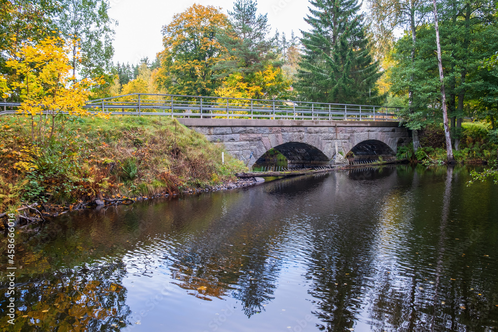 River in the forest with a road bridge