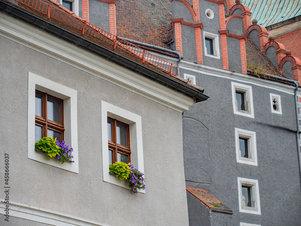 Obraz premium Windows of old houses with flowers in Germany