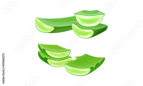 Sliced aloe vera green plant set. Organic natural cosmetic product vector illustration