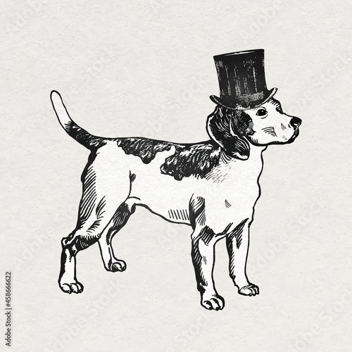 Vintage beagle dog vector sticker with top hat