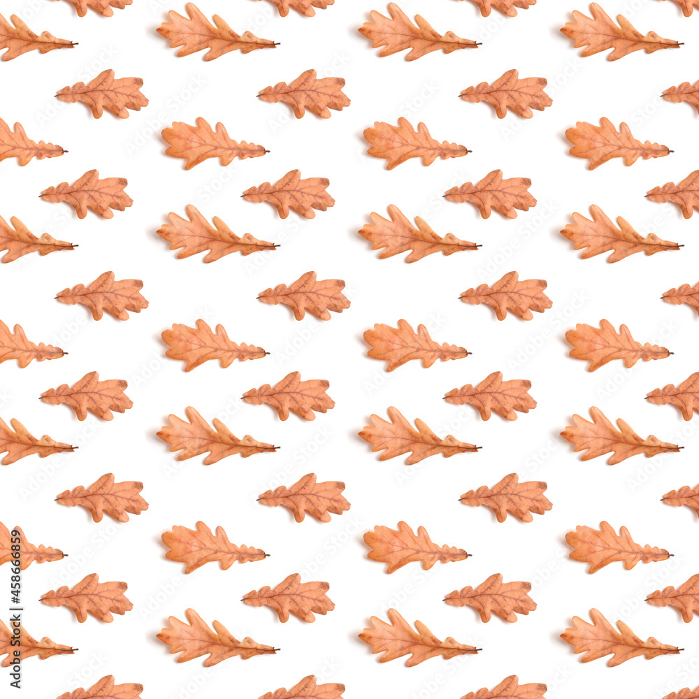 Naklejka premium Oak leaves on a white pattern.