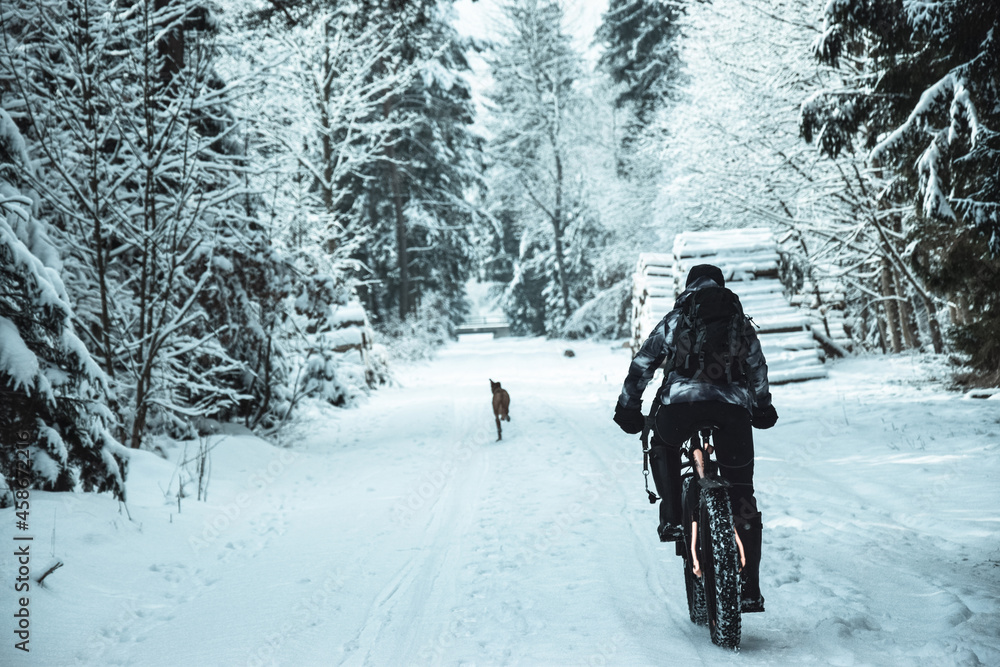 Biking in a snowy forest on a winter day with a fat bike