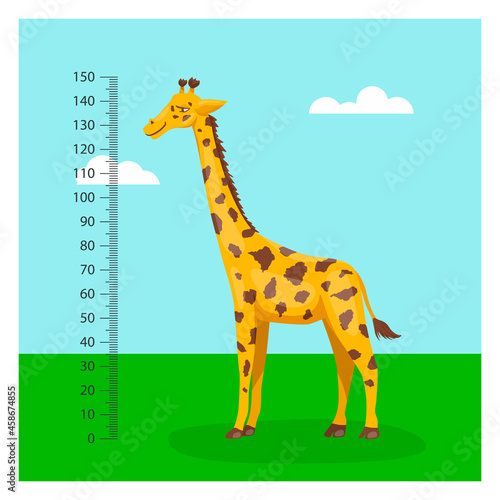 Vector Cartoon Cute Giraffe with Ruler  Growth Meter. Full Length Giraffe  Design Template. Child  Kid  Baby Concept. Tall Funny Hand Drawn Giraffe. Children s Illustration