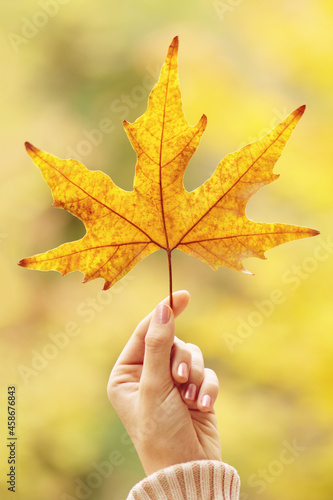 Autumn mood. Autumn time. Woman hold maple leaf.