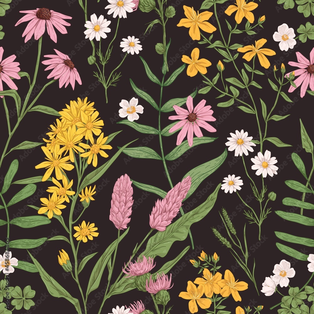 Wildflowers and herbs in the meadow