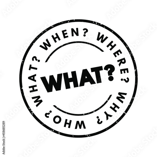 WHAT? Question and questions whose answers are considered basic in information gathering or problem solving