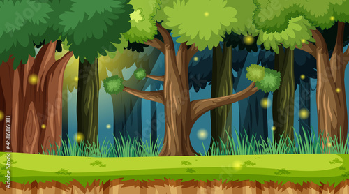 Enchanted forest landscape background