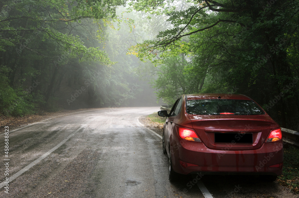 Asphalt road with car in foggy forest in rain