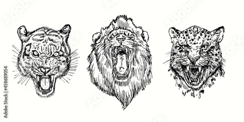 Obraz na plátně Wild angry collection,Tiger, Lion, Cheetah growling muzzle