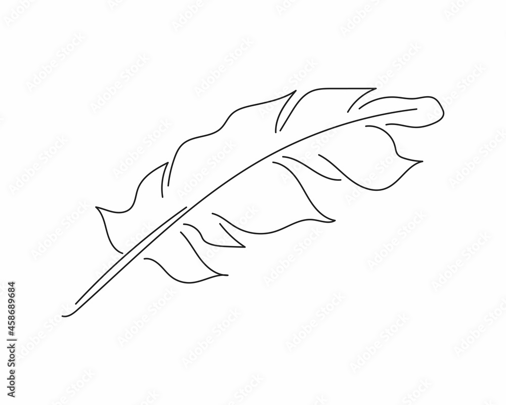 line drawing of elegant feather in silhouette on a white background. Linear stylized.Minimalist. line drawing of elegant feather in silhouette on a white background. Linear stylized.Minimalist.