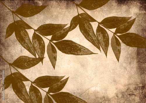 Grunge background with leaves © ankihoglund