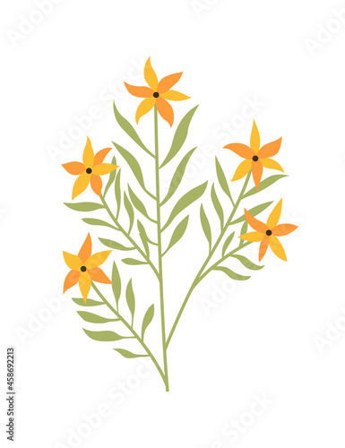 Spring flower. Botanical floral icon design. Garden plant on white background. Colorful flat vector illustration. Good decoration for wedding invitation or scrapbook