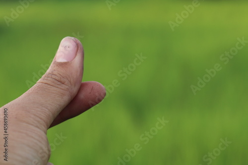 hand on green grass © Sutter