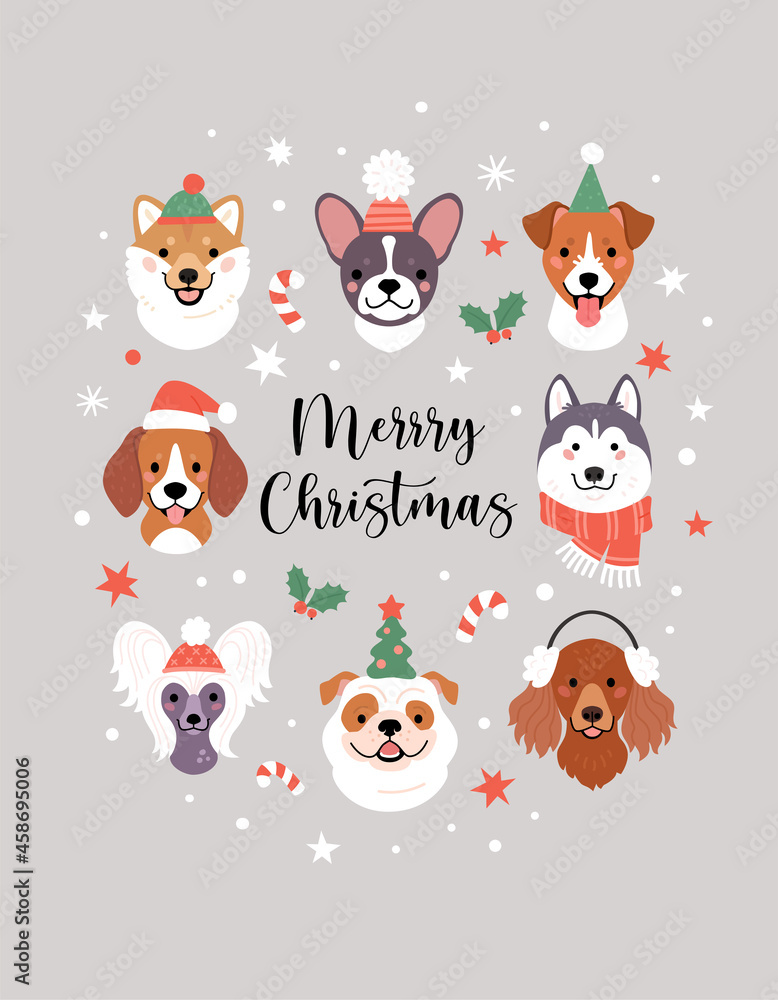 Merry Christmas greeting card. Vector illustration with cute dogs faces in winter and party hats, surrounded by snow, stars, mistletoes, and candy canes. Isolated on light grey background