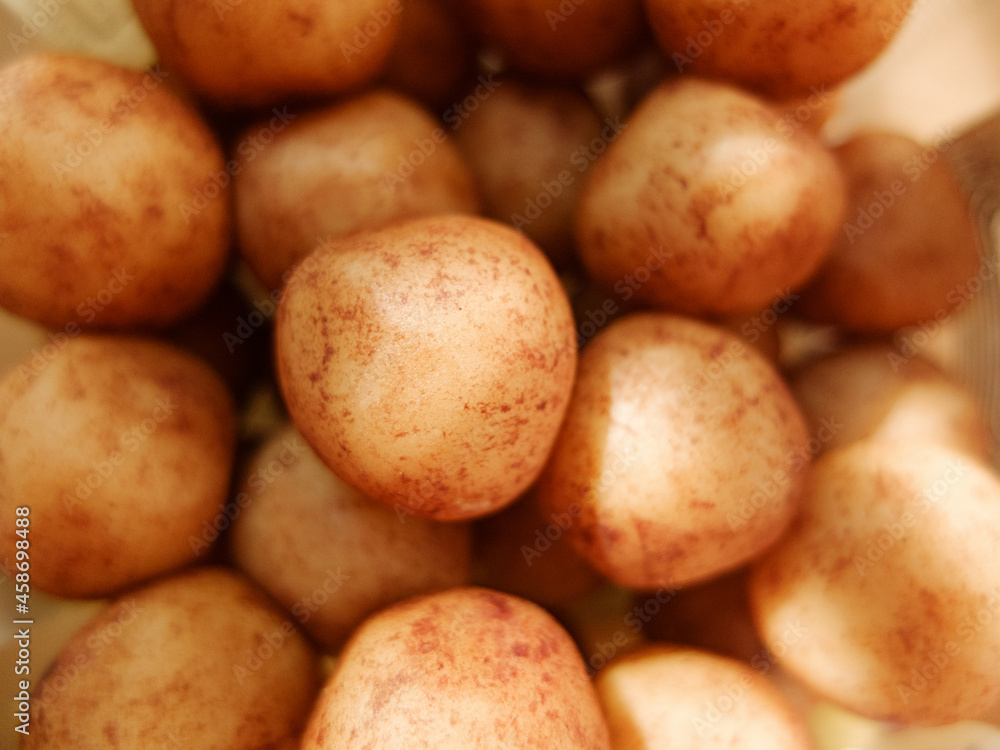 balls of almond marzipan close up balls of almond marzipan close up