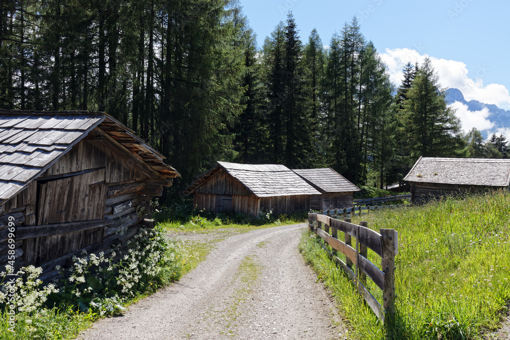 Blühende Bergwiesen mit alten Holzhütten in den Alpen, Pustertal, Südtirol, Italien Blühende Bergwiesen mit alten Holzhütten in den Alpen, Pustertal, Südtirol, Italien