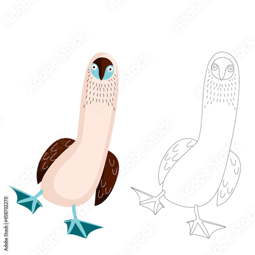 A coloring book with a funny bird. The bird walks raising its blue paws. A linear image of a cartoon seabird. Vector illustration