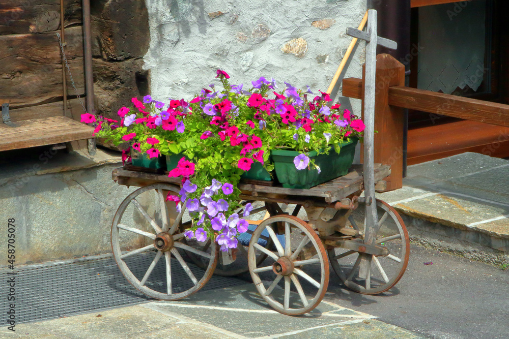 Carretto con fiori, Cart with flowers
