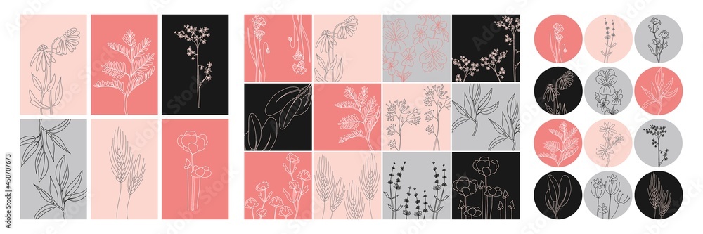 Floral minimal social media set. Hand drawn line wild flower and leaves. Modern floral template for posts, highlights covers and stories. Vector botanical illustration pink black gray colors Floral minimal social media set. Hand drawn line wild flower and leaves. Modern floral template for posts, highlights covers and stories. Vector botanical illustration pink black gray colors