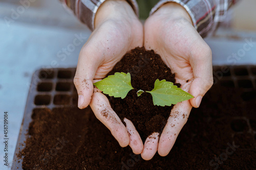 Gardening concept two big hands holding a live plant with black soil showing in front of a camera