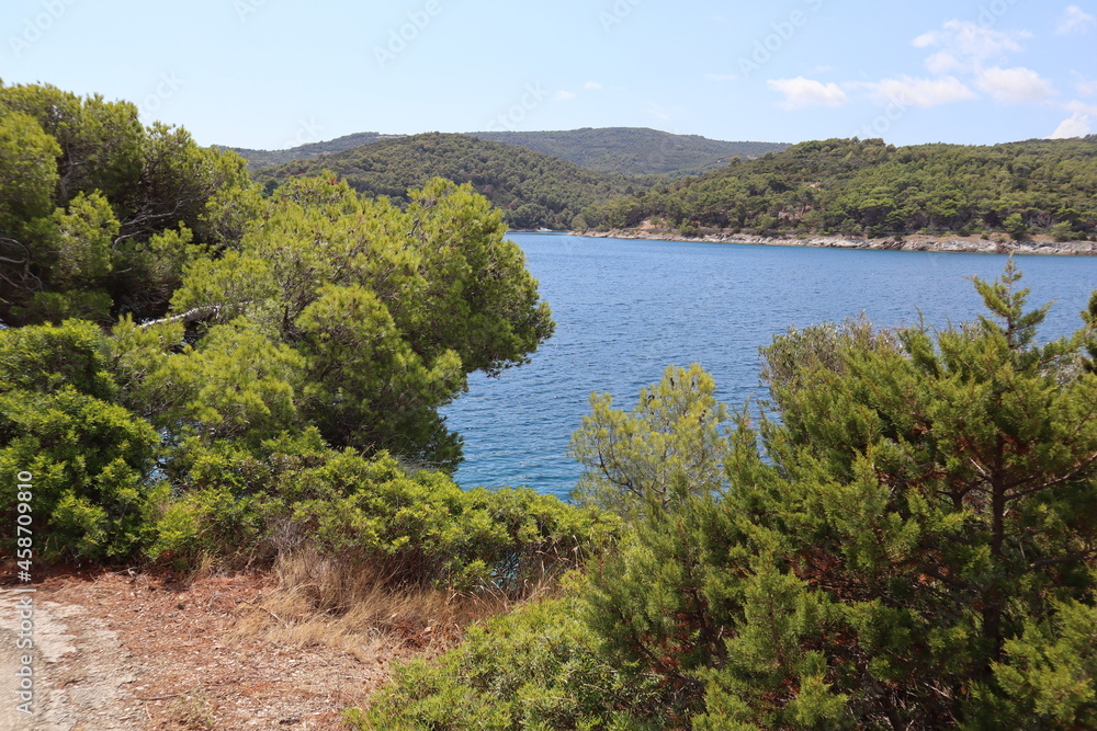 Naklejka premium A picturesque bay on the Adriatic coast with pine-covered shores against a bright blue sky on a sunny summer day, Brac island, Croatia