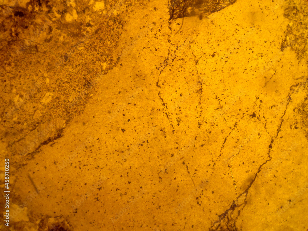 photo of the optical mineralogy and thin section microscopy of petrography photo of the optical mineralogy and thin section microscopy of petrography