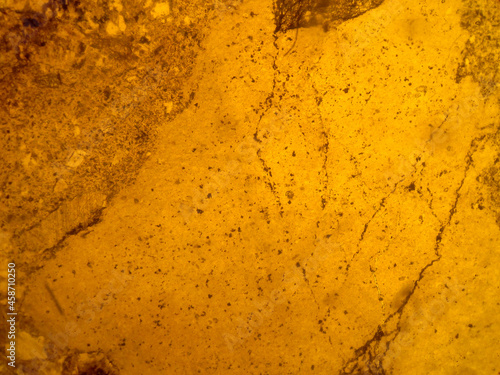 Fotografija photo of the optical mineralogy and thin section microscopy of petrography