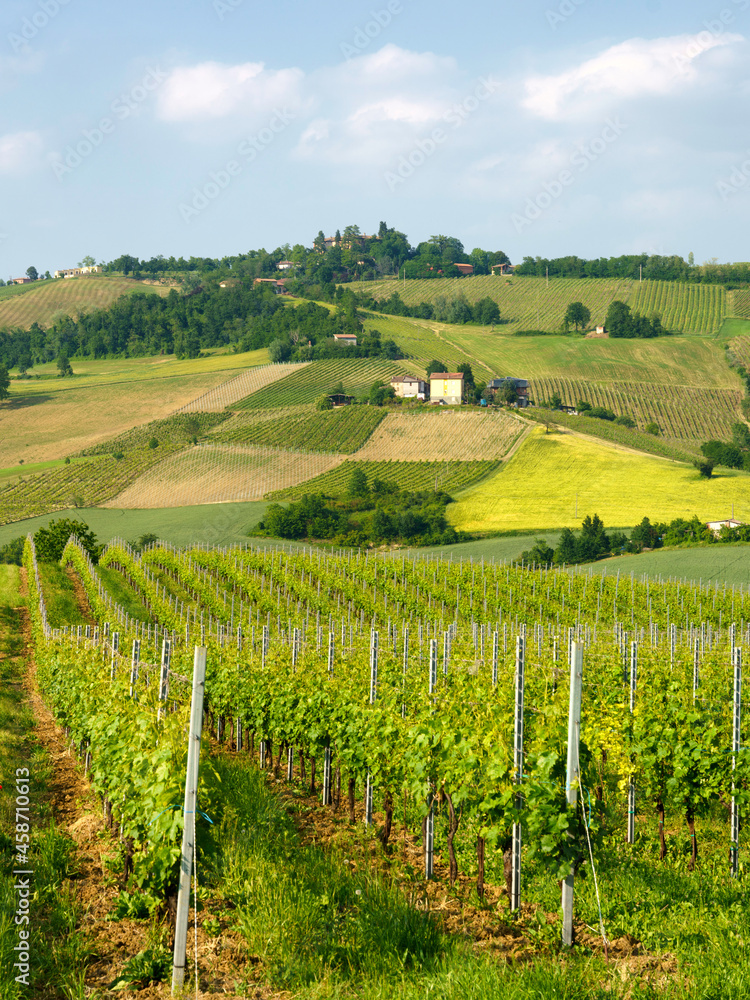 Rural landscape near Pianello Val Tidone, Emilia-Romagna, at May