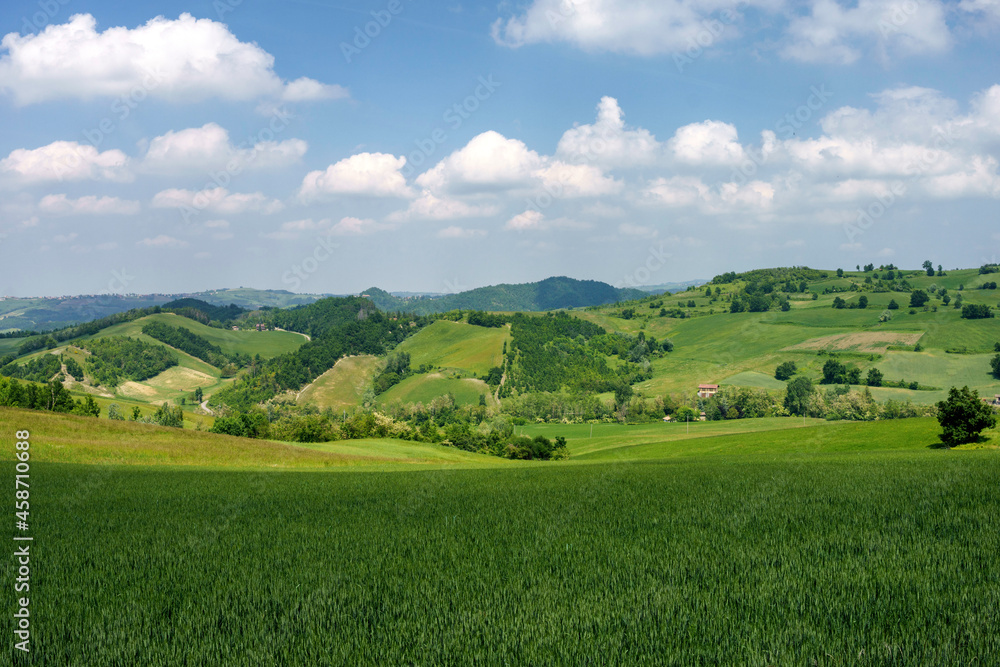 Rural landscape at May in Oltrepo Pavese near Zavattarello Rural landscape at May in Oltrepo Pavese near Zavattarello