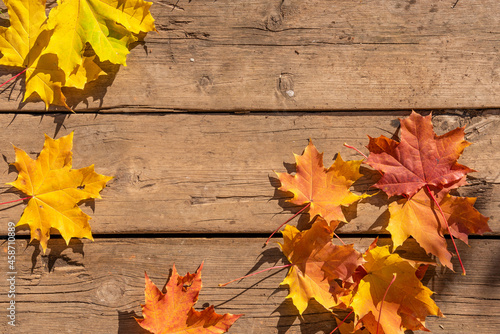 Autumn background of yellow maple leaves and a wooden fence